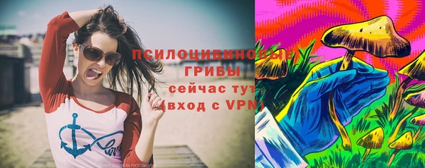 прущие крисы Няндома